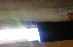 XXX સોલો છોકરી ગાંડ ટ્યુબ